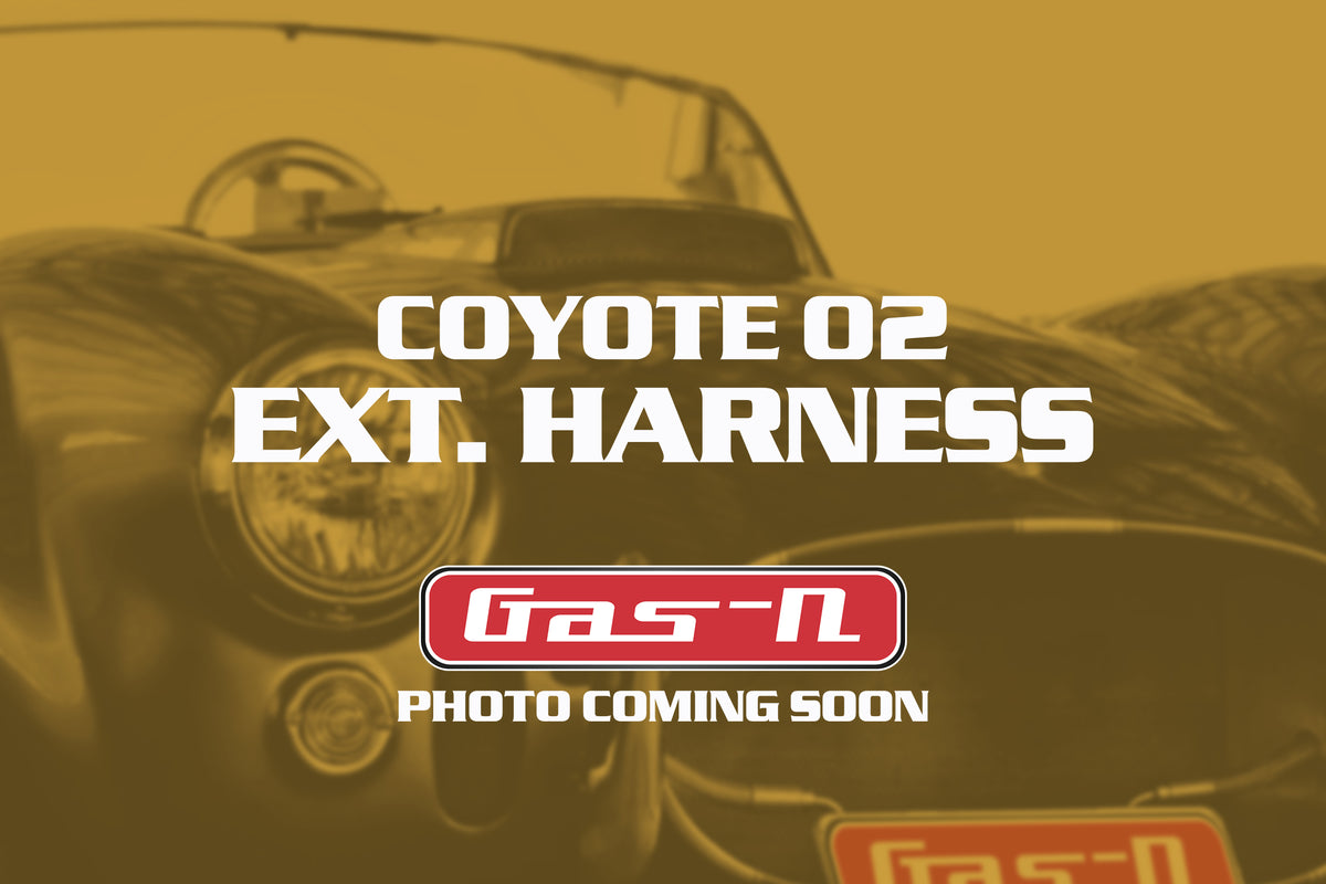 Coyote 02 Extension Harness Kit